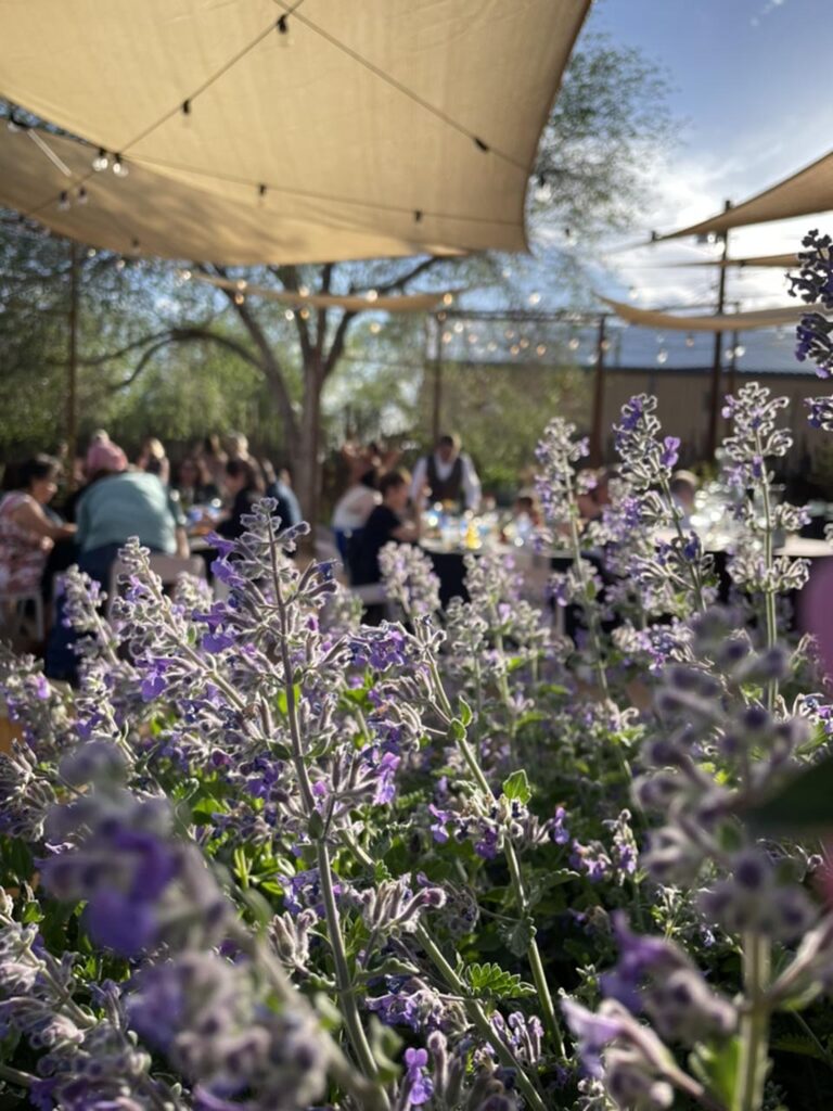 2AC9E006-4066-4295-A37E-9E296A567988_1_105_c